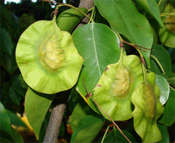 Screen Shot 2019 08 29 at 18.40