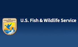 This image for Image Layouts addon