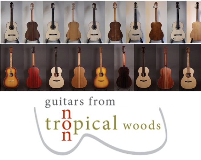 Leonardo Guitar Research Project