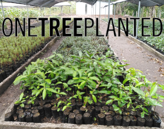 ONE TREE PLANTED