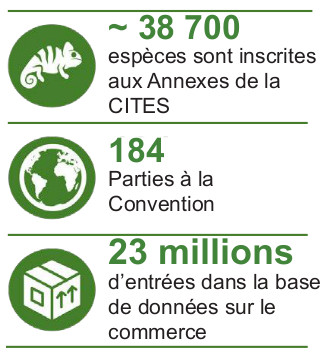 F World Wildlife Trade Report CITES 2