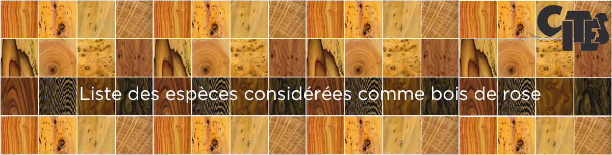 bandeau patchwork bois bois de rose