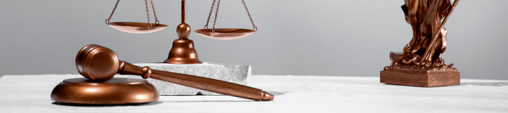 Nouveaux critères de durabilité des importations de bois dans l'UE