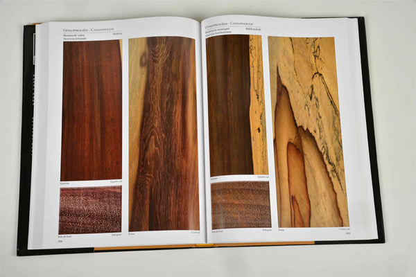 LIRE LE BOIS FLYER DEF MODIFS190910 2 1