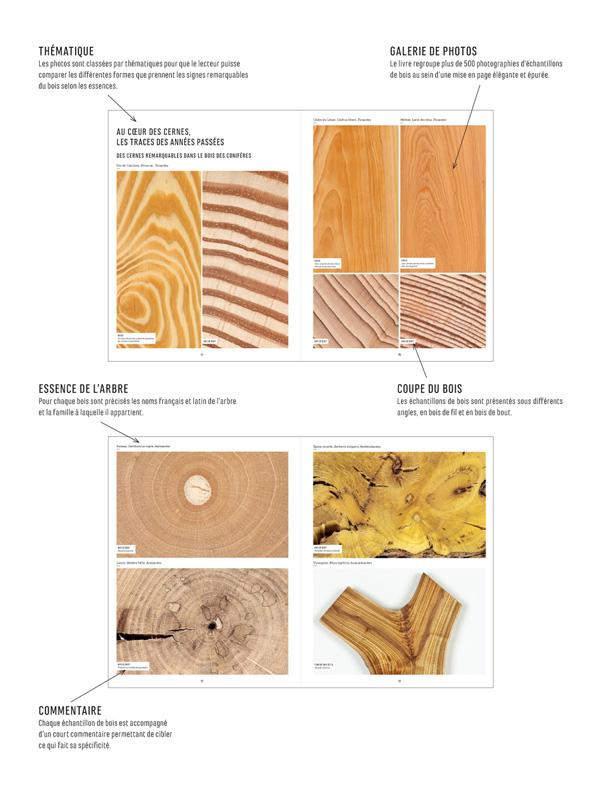 LIRE LE BOIS FLYER DEF MODIFS190910 2 1