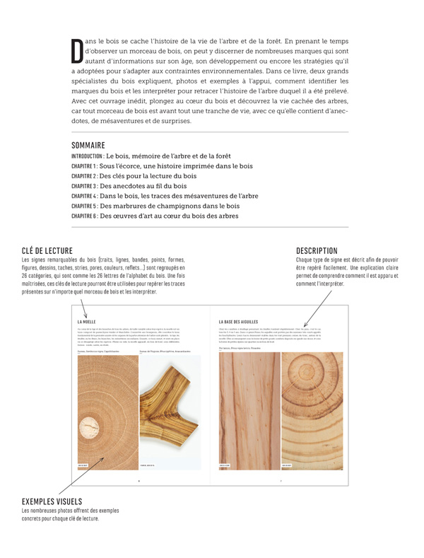 LIRE LE BOIS FLYER DEF MODIFS190910 2 1