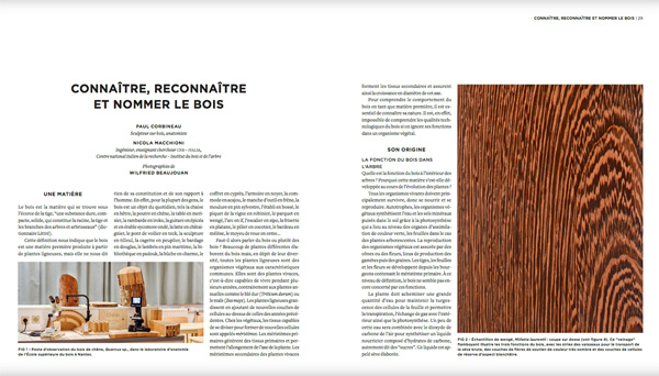 LIRE LE BOIS FLYER DEF MODIFS190910 2 1